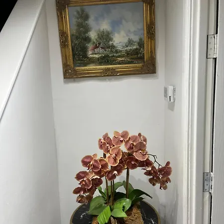 Дерев'яний котедж Charming Retreat